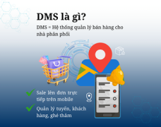 DMS là gì